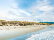 南方泵業:離心泵龍頭